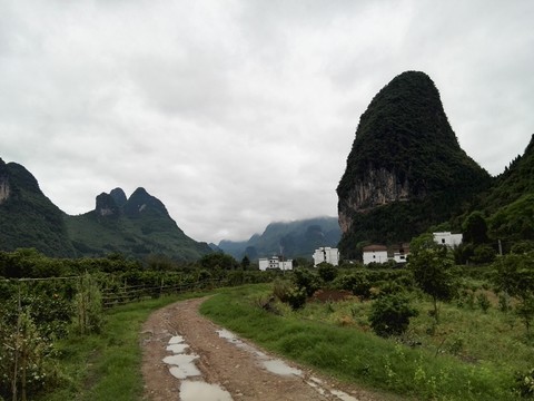 楊堤