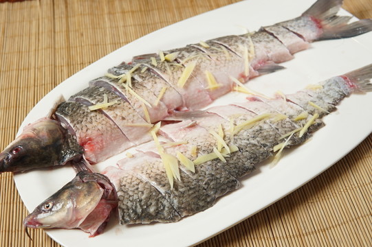 天山雪魚
