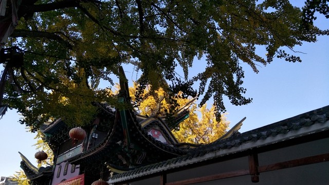 秋天