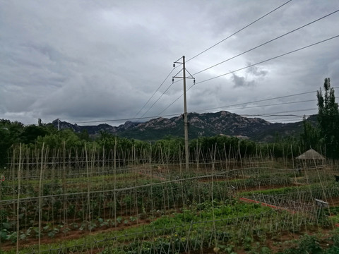 農(nóng)場(chǎng) 風(fēng)景