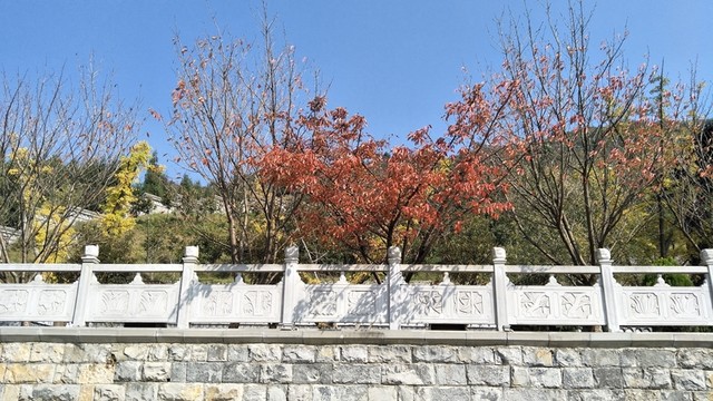 宣慰府
