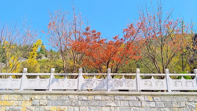 宣慰府