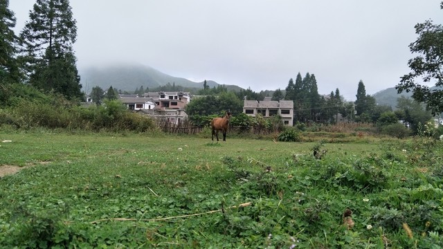 山水