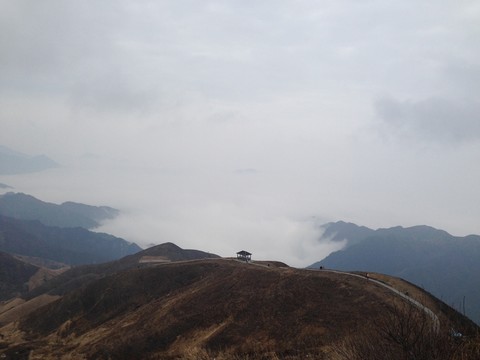 江西武功山云中高山草甸