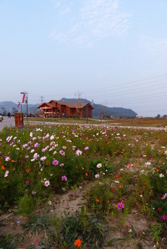 公園