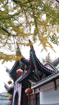 斗姆閣秋天
