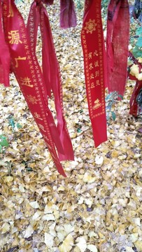 秋天