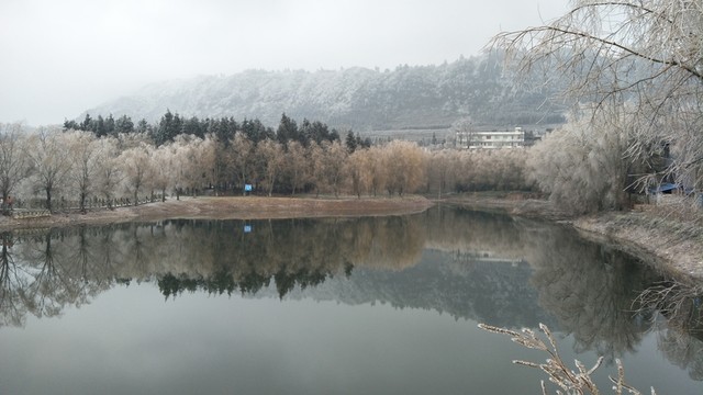 宣慰府