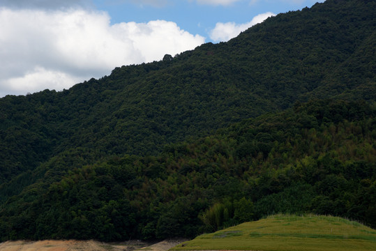 山仔水庫