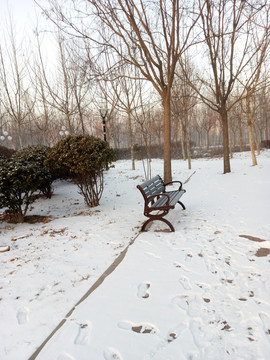 雪地長椅