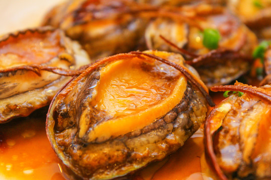 鮑魚(yú)仔