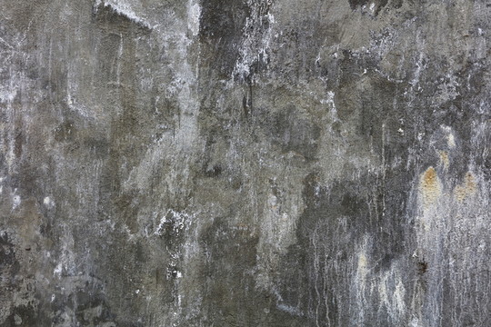 貼圖