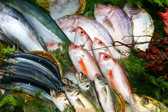 魚(yú)