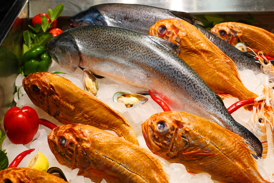 魚