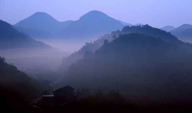 2013百里杜鵑