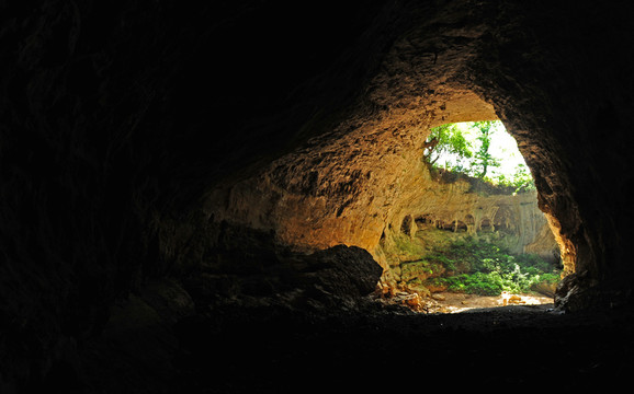 2013百里杜鵑