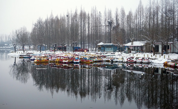 公園雪景