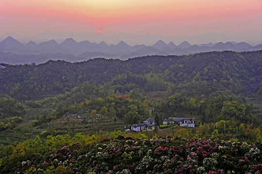 2015百里杜鵑