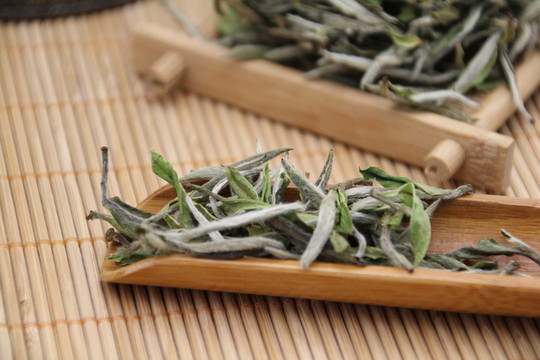 白茶特寫(xiě)茶葉