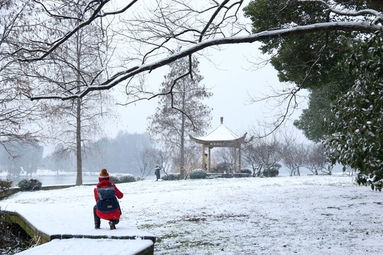 梅園雪景
