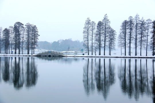 梅園雪景