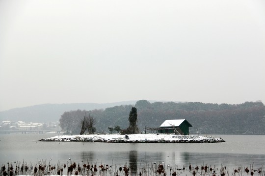 梅園雪景