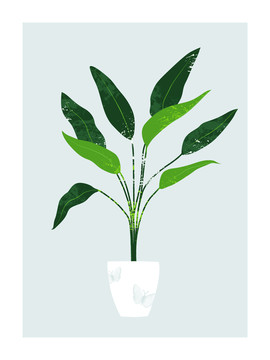 綠植裝飾畫
