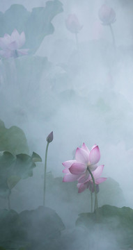 水墨畫 荷花
