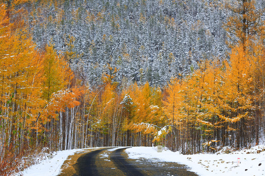 林海秋雪山路