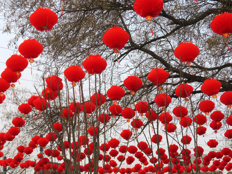 節(jié)日紅燈籠