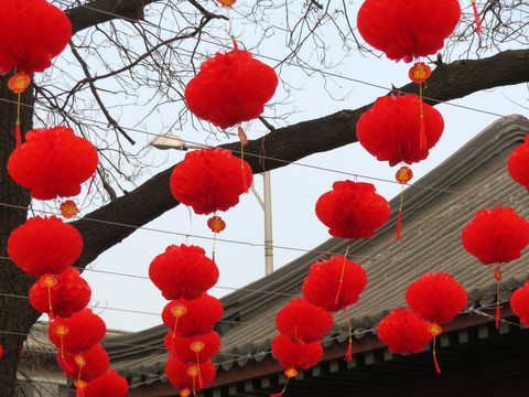 掛在樹(shù)上的燈籠