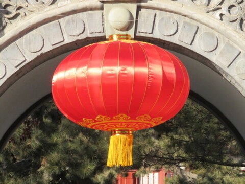 紅燈籠
