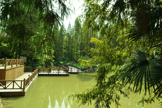 崇明 風(fēng)景