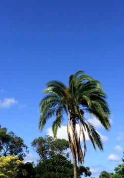 度假村