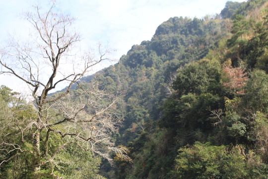 山脈