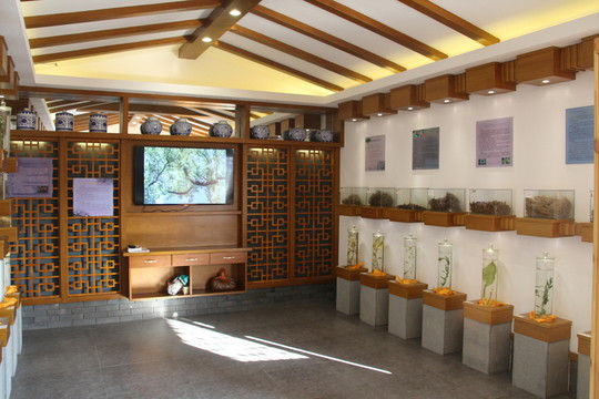 本草堂展廳