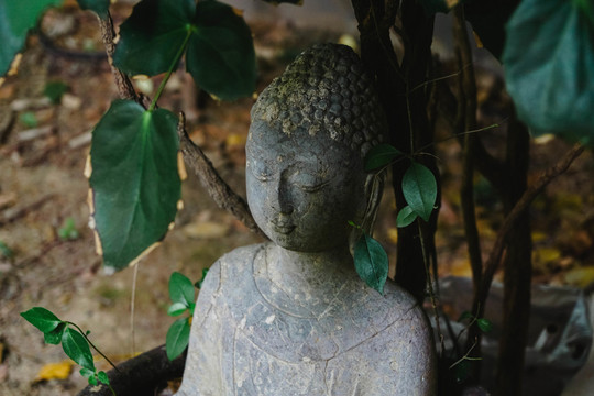 佛像