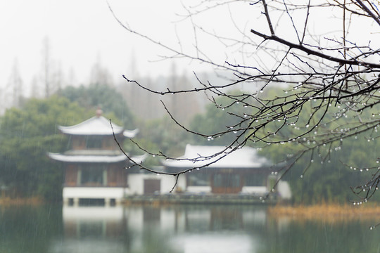 西湖雪景