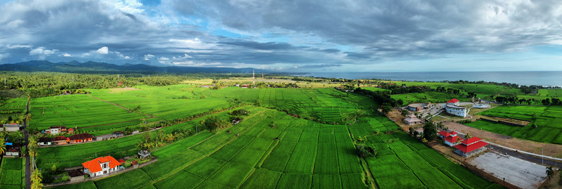 印度尼西亞巴厘島田園