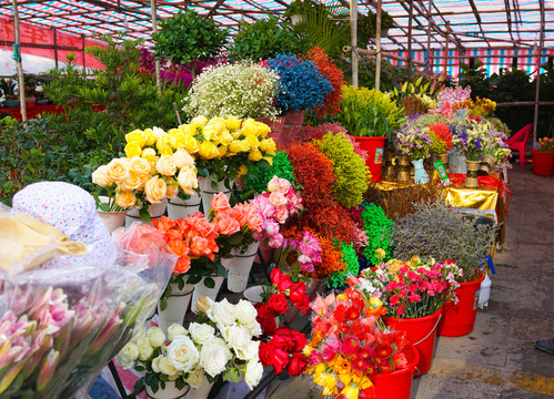 五顏六色 鮮花 花店