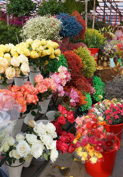 五顏六色 鮮花