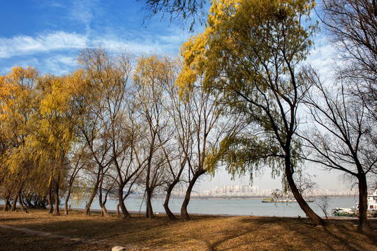 長江沿岸