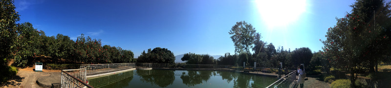 山茶花園