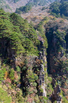黃山