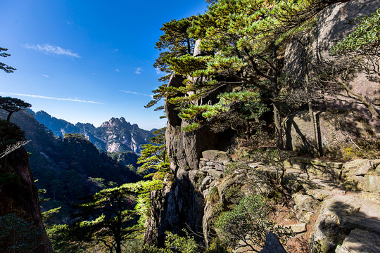 黃山