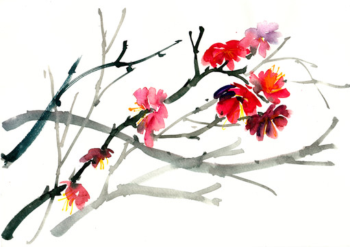 梅花