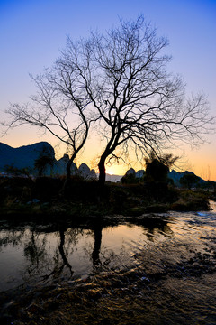 河岸樹林落霞