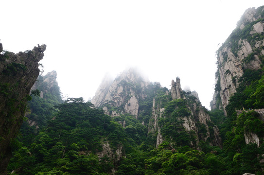 云霧中的黃山
