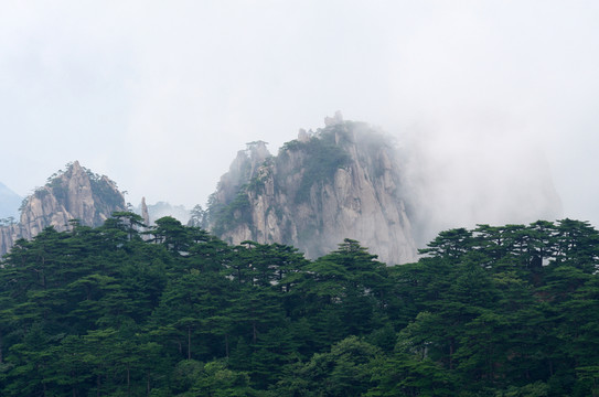 云霧中的黃山