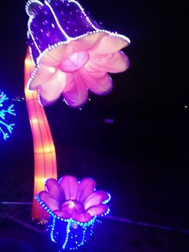 花燈